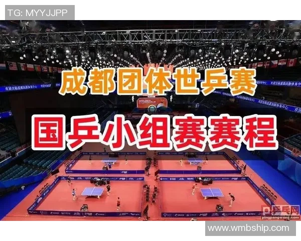 成都乒乓球队技术对比深度解析与发展趋势探讨